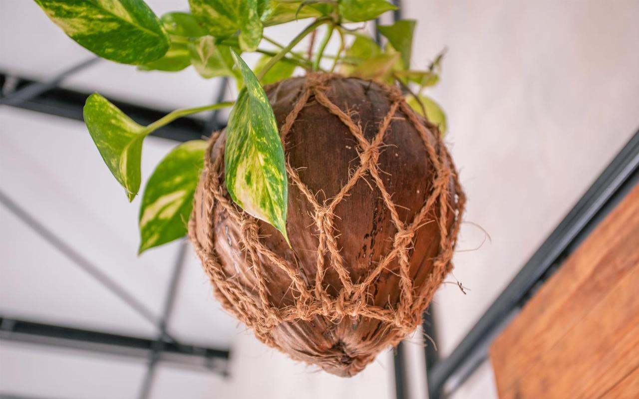 فندق Rakeedhooفي  Tranquil Nest Vaavu المظهر الخارجي الصورة